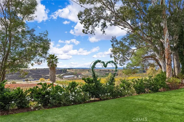 Romantic Views from Wedding party area, patio and picnic area