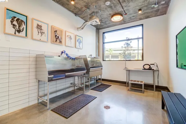 Misc room featuring pet washing station and finished concrete floors