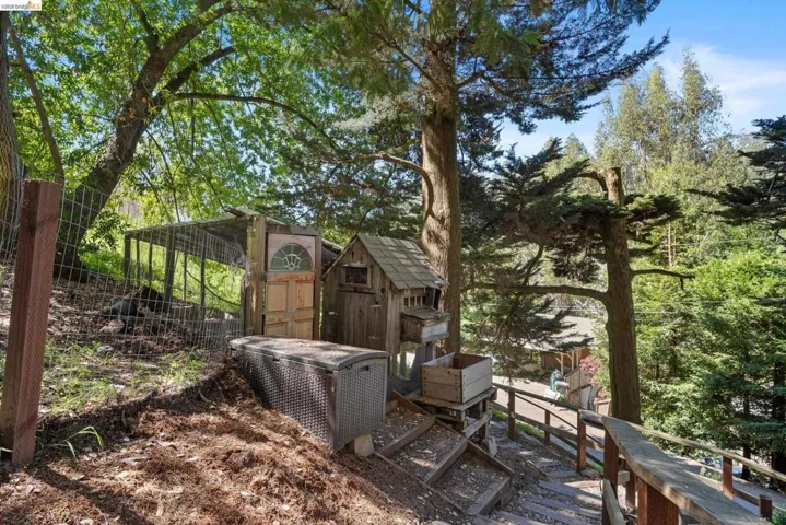 View of chicken coop
