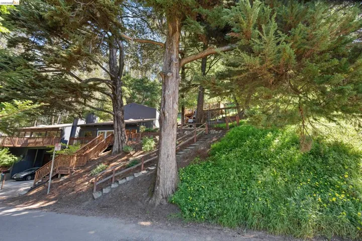 View of yard with a deck and view of wooded area