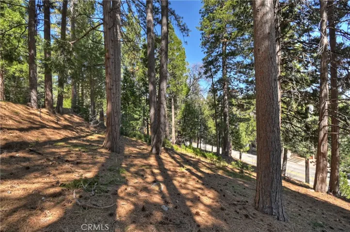 Usable Lot with walkways