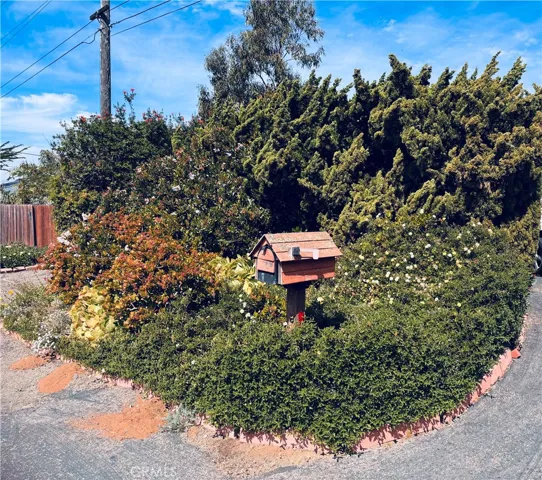 Street mailbox & greenery