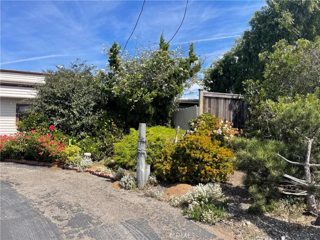 East front yard entrance