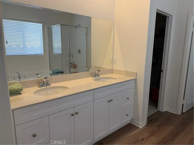 Master  bathroom