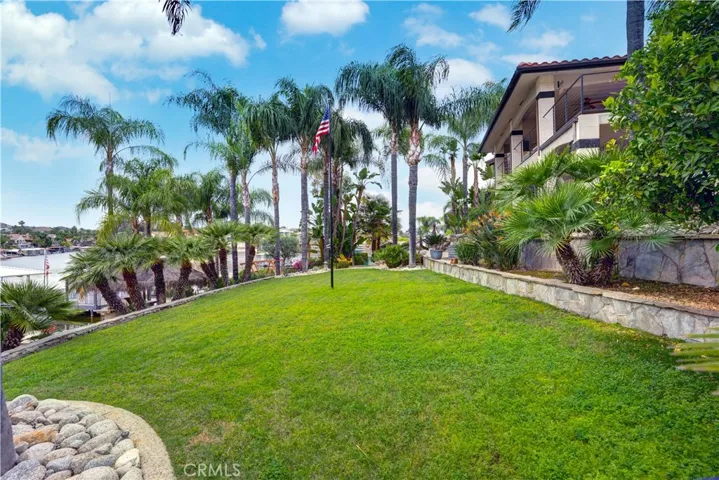 Large Grass area in backyard
