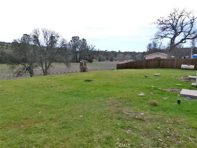 rear yard