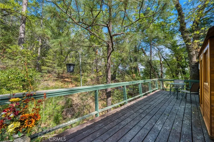 15306 Western Mine, Middletown, California 95461