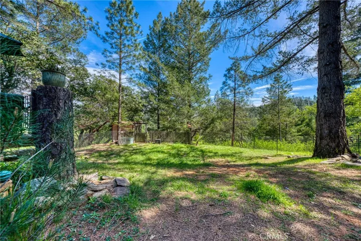 15306 Western Mine, Middletown, California 95461
