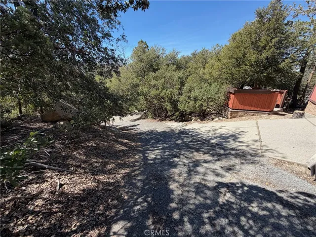 Shared Driveway to the Lot