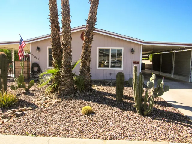 IMG_1563_edited-1