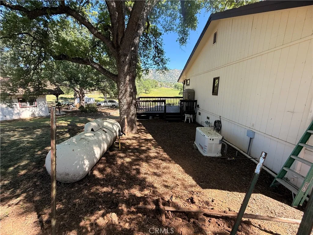 Generator and Propane