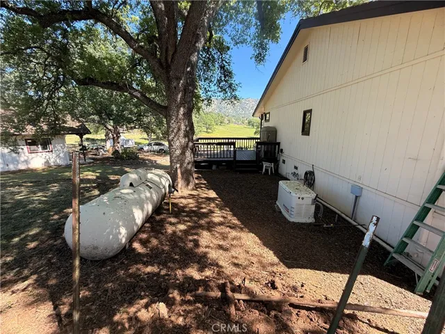 Generator and Propane