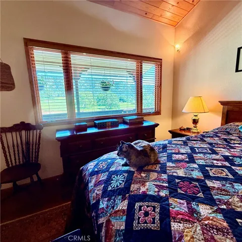 Masterbedroom views with a cozy cat.