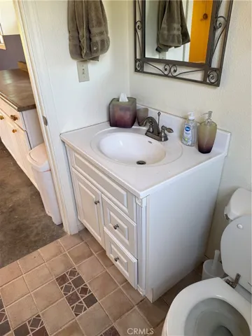 Bath sink