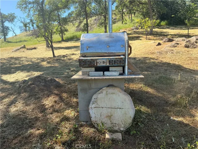 Pizza oven out the kitchen door.