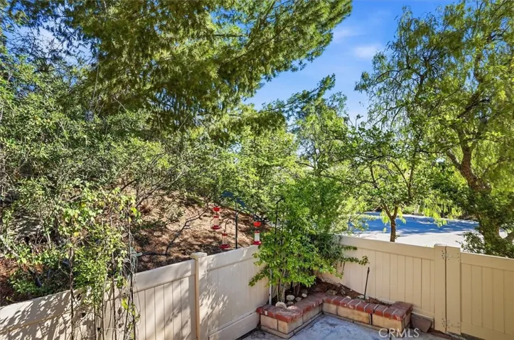 Back yard