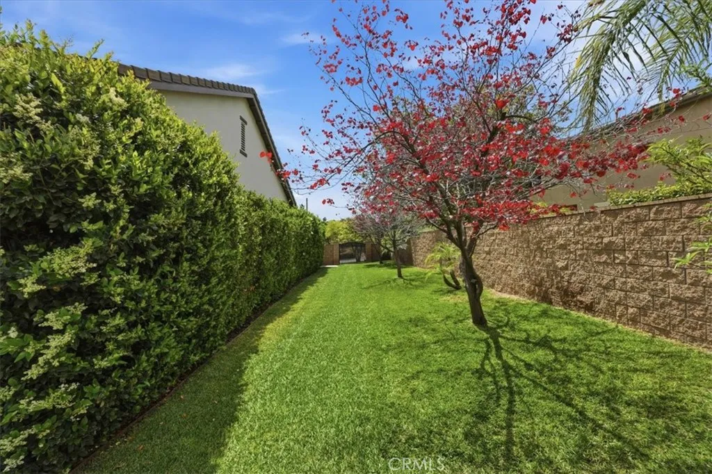 Side yard