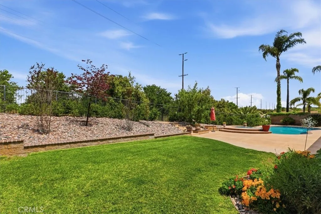 Back yard