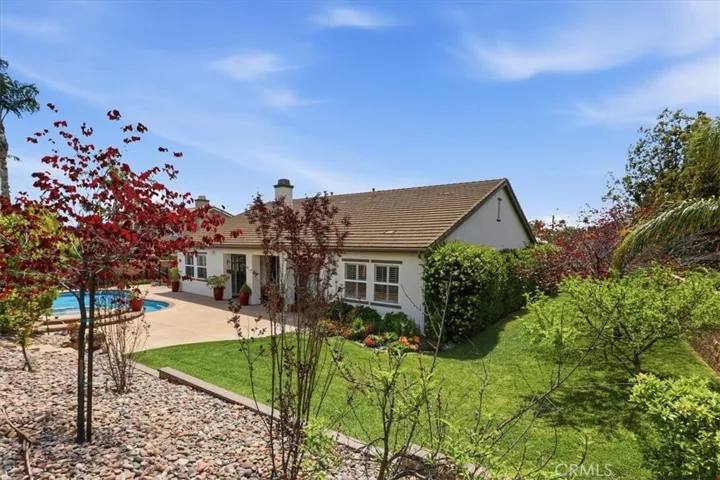 Back yard