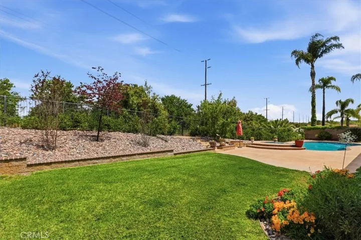 Back yard