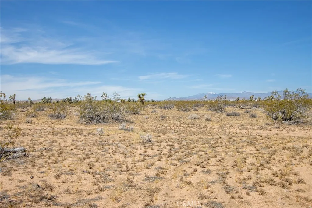 3674 Shawnee, Landers, California 92285 — photo 4
