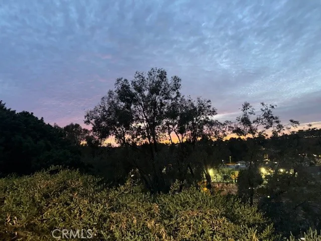 29095 Madrid, Laguna Niguel, California 92677