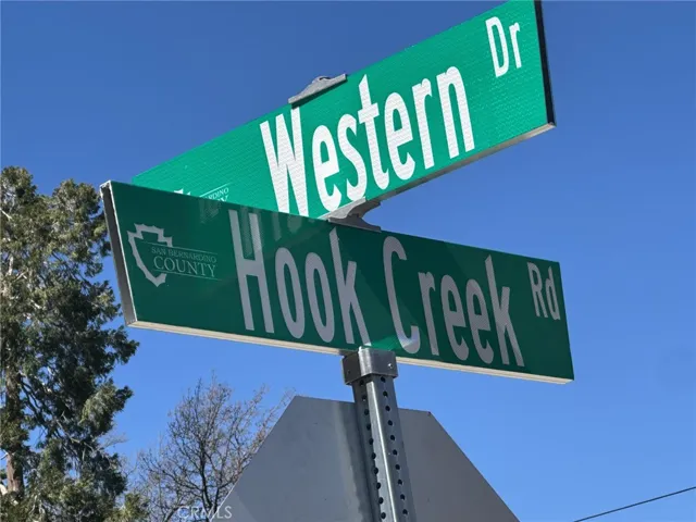29135 Hook Creek, Cedar Glen, California 92321 — photo 5