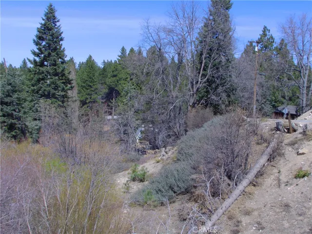 10,000 SQFT. lot