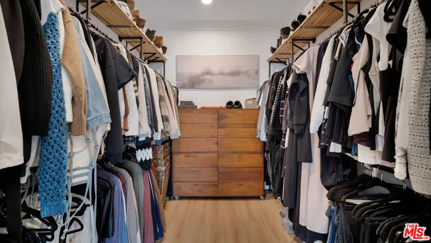The walk-in closet we all need