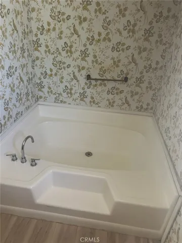 Master Bath tub and shower