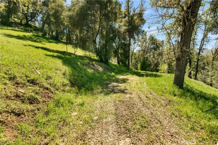 8005301 Tres Vista, Paso Robles, California 93446 — photo 5