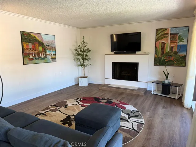 861 Ronda Mendoza N, Laguna Woods, California 92637
