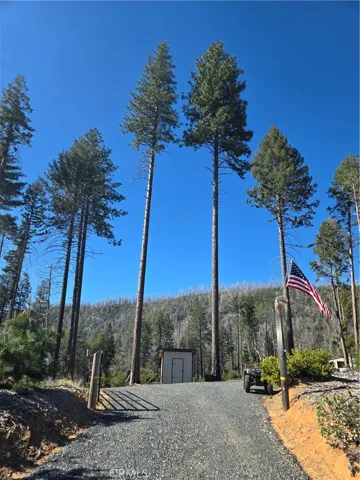 Gated Driveway