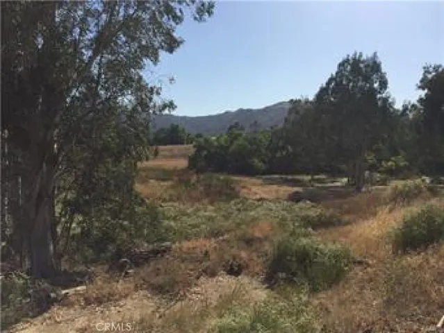 Undeveloped property to the west