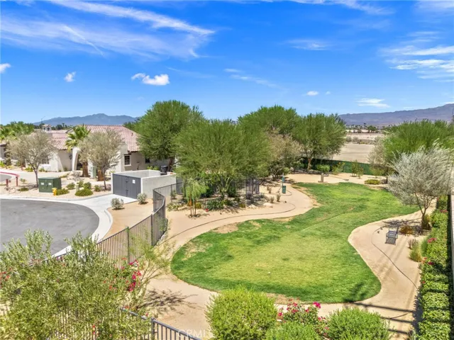 Walking Path and Dog Park