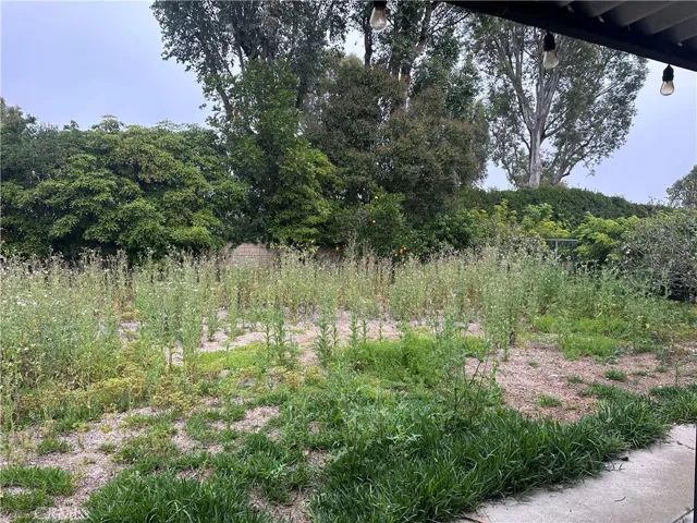 25611 Via Inez, San Juan Capistrano, California 92675