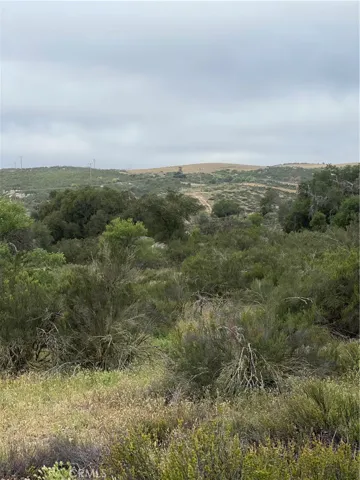 View of parcel.