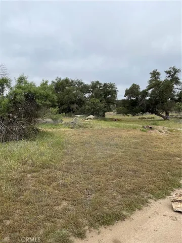 View of parcel.