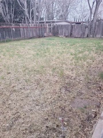 Back Yard 1089