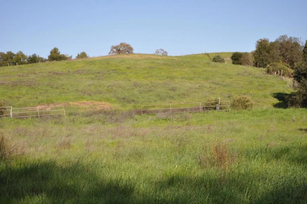 Fence line barely visible at the top of the ridge is the Eastern boundary of the 7 acres.
