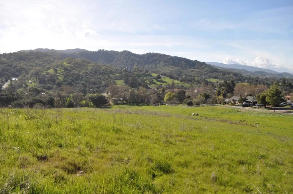Looking down toward creek; and to the Northern area (the separate 3 acres)