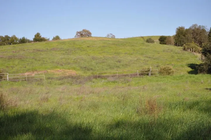 Fence line barely visible at the top of the ridge is the Eastern boundary of the 7 acres.