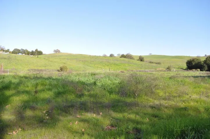 View from creek to the Eastern property line -- at the top of the hill.