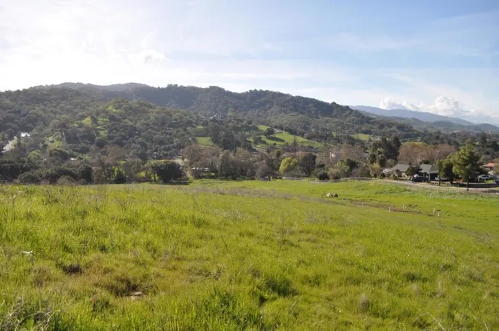 Looking down toward creek; and to the Northern area (the separate 3 acres)