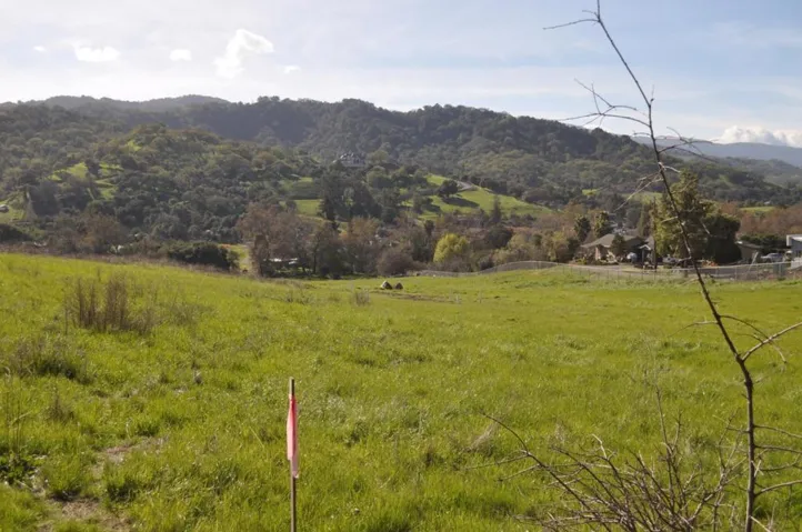 Taken from border between 7 ac & 3 ac parcels - property line is parallel with distant driveway