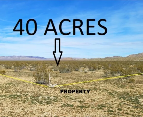 40 Acres