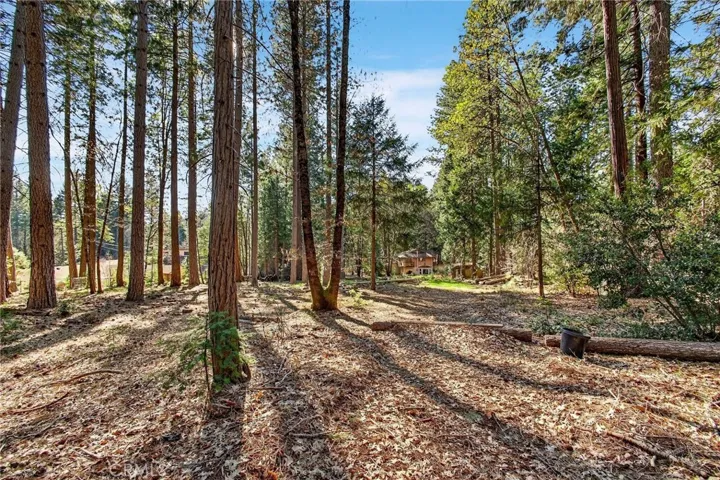 view from back of property towards home