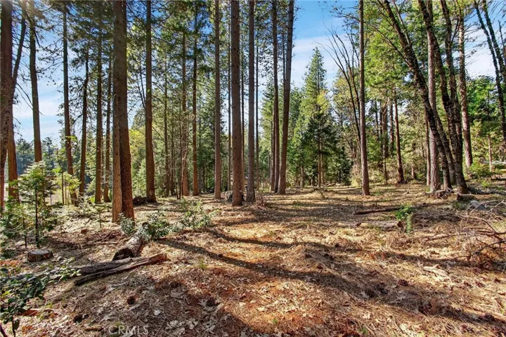 view into back yard of home