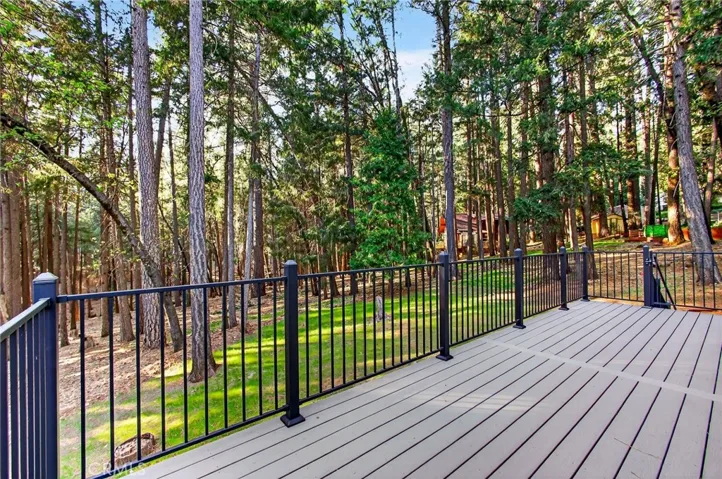 Beautiful forest views from deck