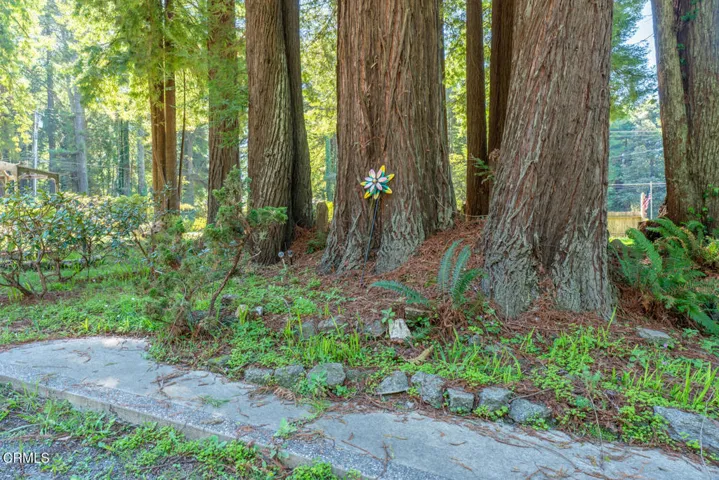 DSC01148-HDR